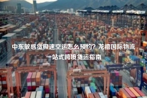 中东敏感货极速空运怎么预约？龙禧国际物流一站式跨境货运指南