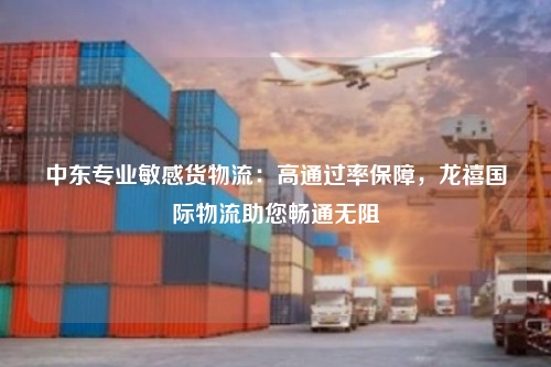 中东专业敏感货物流：高通过率保障，龙禧国际物流助您畅通无阻
