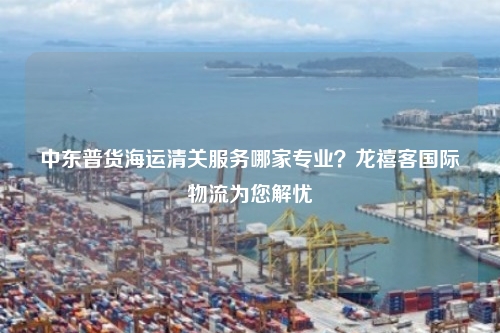 中东普货海运清关服务哪家专业？龙禧客国际物流为您解忧