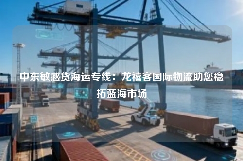 中东敏感货海运专线：龙禧客国际物流助您稳拓蓝海市场
