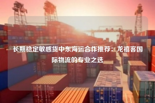 长期稳定敏感货中东海运合作推荐：龙禧客国际物流的专业之选