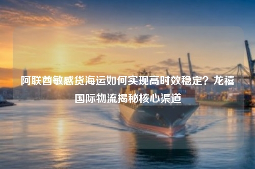 阿联酋敏感货海运如何实现高时效稳定？龙禧国际物流揭秘核心渠道