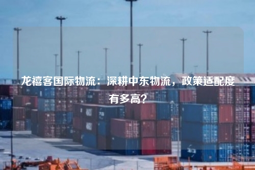 龙禧客国际物流：深耕中东物流，政策适配度有多高？