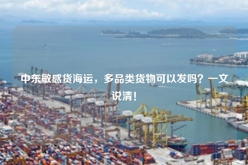 中东敏感货海运，多品类货物可以发吗？一文说清！