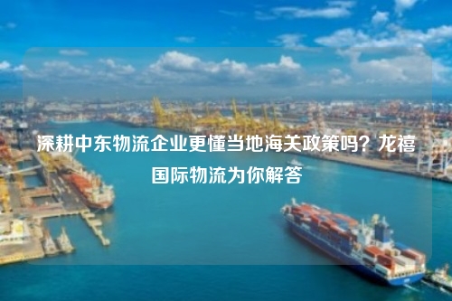 深耕中东物流企业更懂当地海关政策吗？龙禧国际物流为你解答