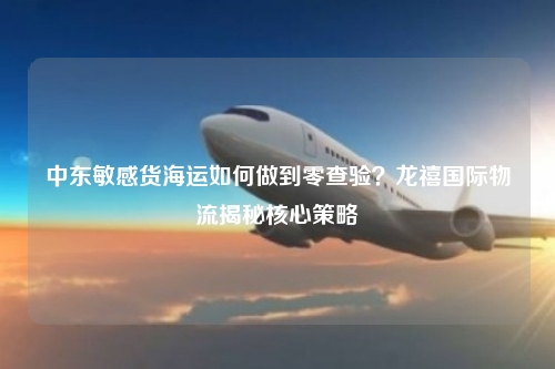 中东敏感货海运如何做到零查验？龙禧国际物流揭秘核心策略