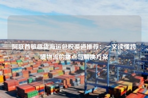 阿联酋敏感货海运包税渠道推荐：一文读懂跨境物流的痛点与解决方案