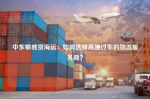 中东敏感货海运：如何选择高通过率的物流服务商？