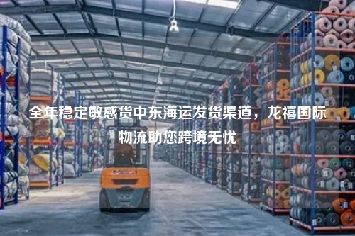 全年稳定敏感货中东海运发货渠道，龙禧国际物流助您跨境无忧