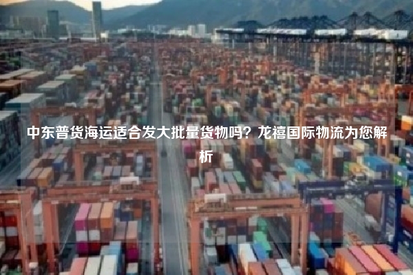 中东普货海运适合发大批量货物吗？龙禧国际物流为您解析
