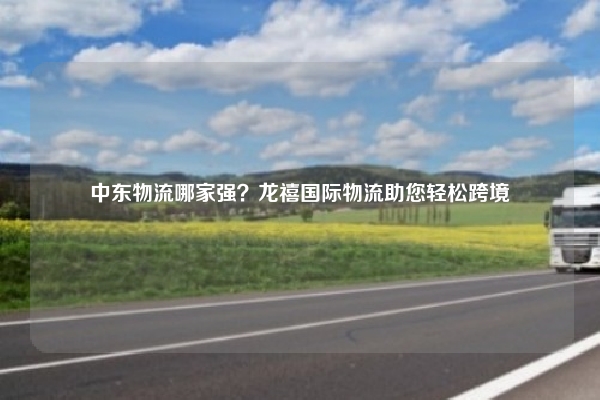 中东物流哪家强？龙禧国际物流助您轻松跨境