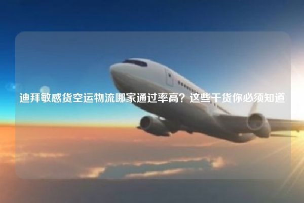 迪拜敏感货空运物流哪家通过率高？这些干货你必须知道