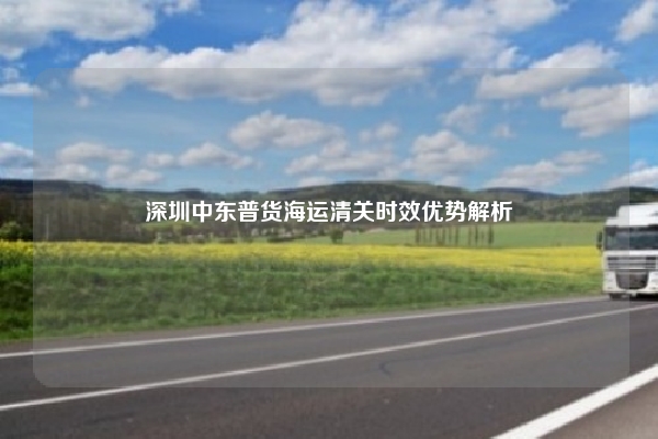 深圳中东普货海运清关时效优势解析