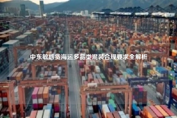 中东敏感货海运多品类混装合规要求全解析
