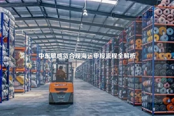 中东敏感货合规海运申报流程全解析
