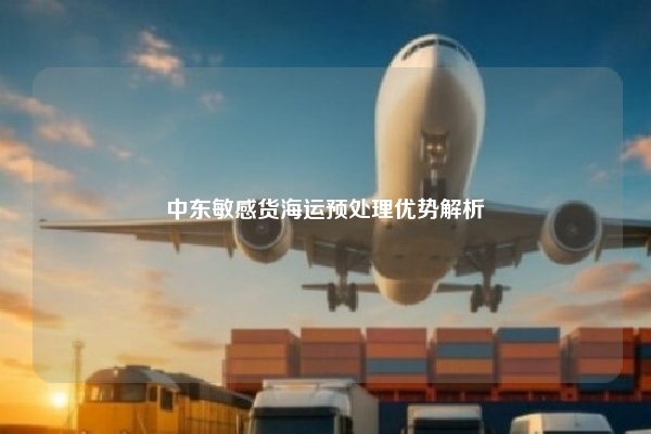 中东敏感货海运预处理优势解析