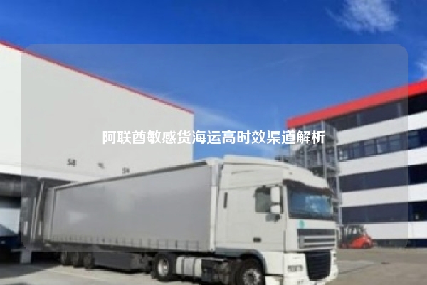 阿联酋敏感货海运高时效渠道解析