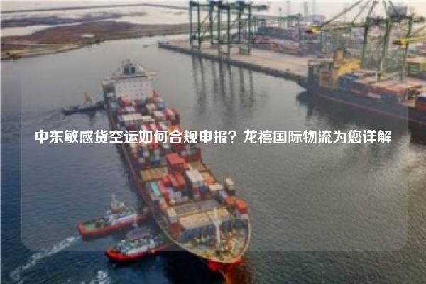中东敏感货空运如何合规申报？龙禧国际物流为您详解