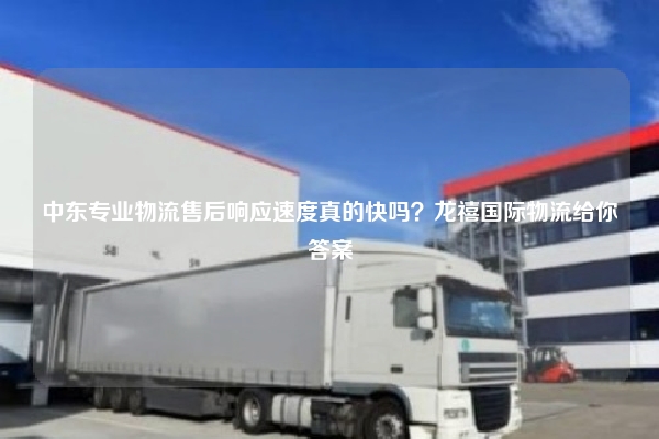 中东专业物流售后响应速度真的快吗？龙禧国际物流给你答案
