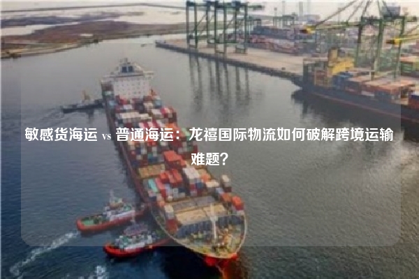 敏感货海运 vs 普通海运：龙禧国际物流如何破解跨境运输难题？
