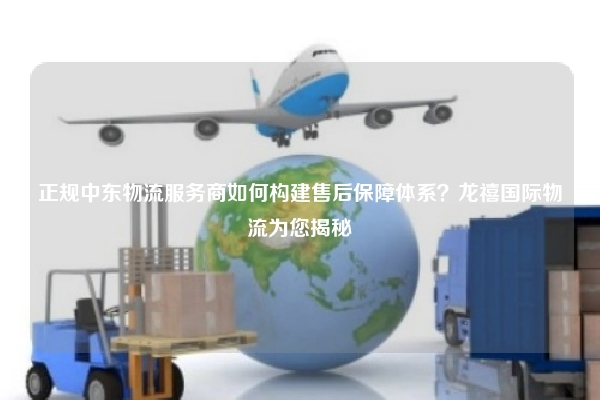 正规中东物流服务商如何构建售后保障体系？龙禧国际物流为您揭秘