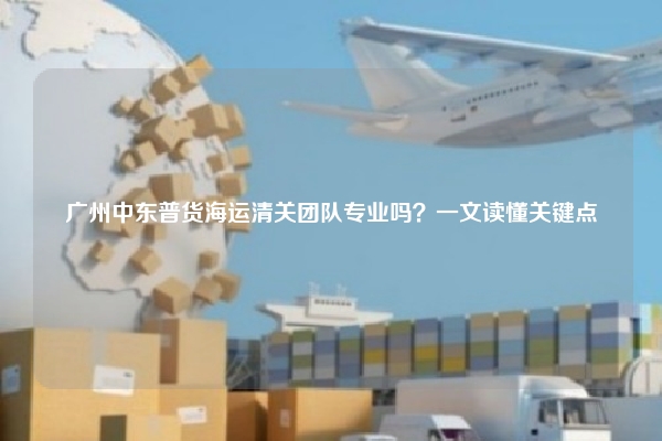 广州中东普货海运清关团队专业吗？一文读懂关键点