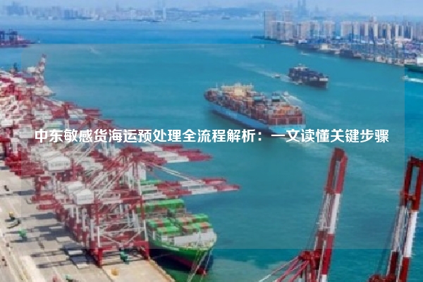 中东敏感货海运预处理全流程解析：一文读懂关键步骤