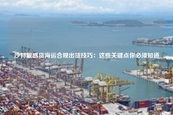 沙特敏感货海运合规出货技巧：这些关键点你必须知道