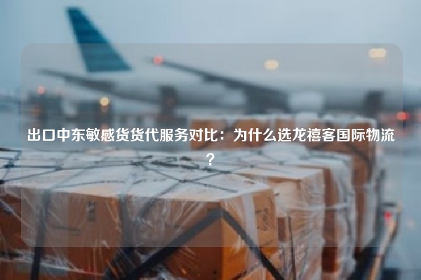 出口中东敏感货货代服务对比：为什么选龙禧客国际物流？