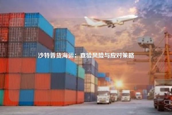 沙特普货海运：查验风险与应对策略