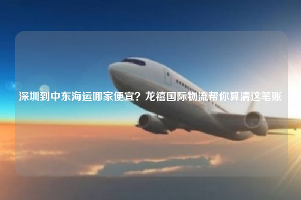 深圳到中东海运哪家便宜？龙禧国际物流帮你算清这笔账