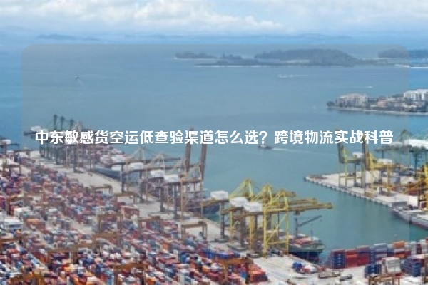 中东敏感货空运低查验渠道怎么选？跨境物流实战科普
