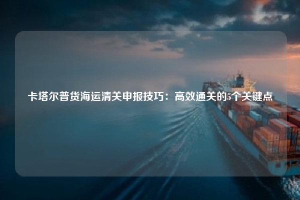卡塔尔普货海运清关申报技巧：高效通关的5个关键点