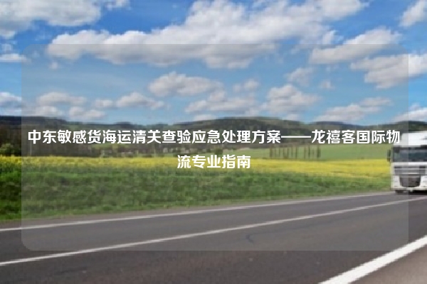 中东敏感货海运清关查验应急处理方案——龙禧客国际物流专业指南