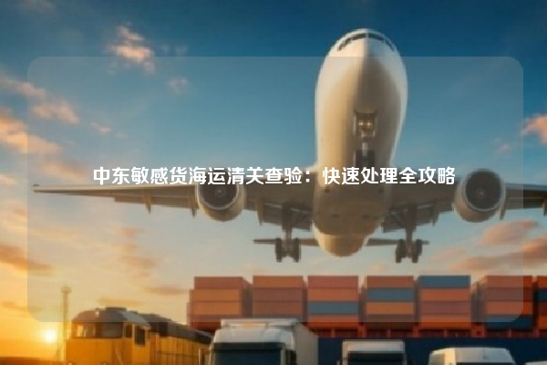 中东敏感货海运清关查验：快速处理全攻略