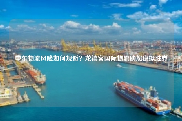 中东物流风险如何规避？龙禧客国际物流助您稳操胜券