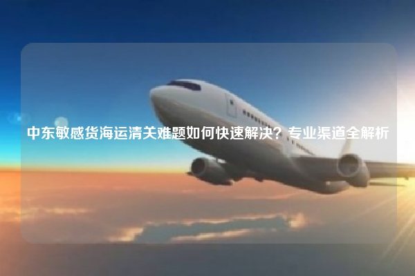 中东敏感货海运清关难题如何快速解决？专业渠道全解析