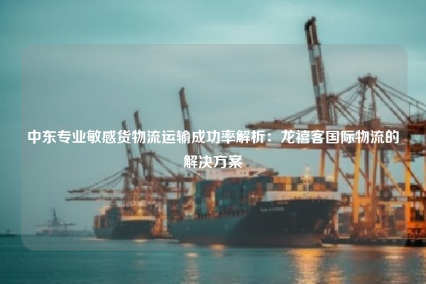 中东专业敏感货物流运输成功率解析：龙禧客国际物流的解决方案