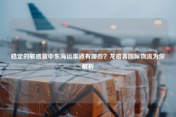 稳定的敏感货中东海运渠道有哪些？龙禧客国际物流为你解析