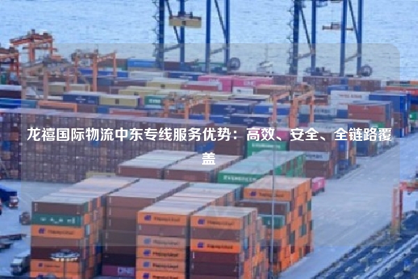 龙禧国际物流中东专线服务优势：高效、安全、全链路覆盖