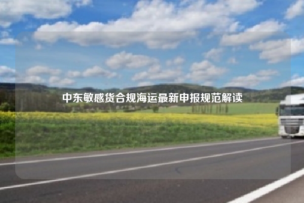 中东敏感货合规海运最新申报规范解读