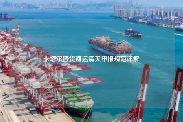 卡塔尔普货海运清关申报规范详解