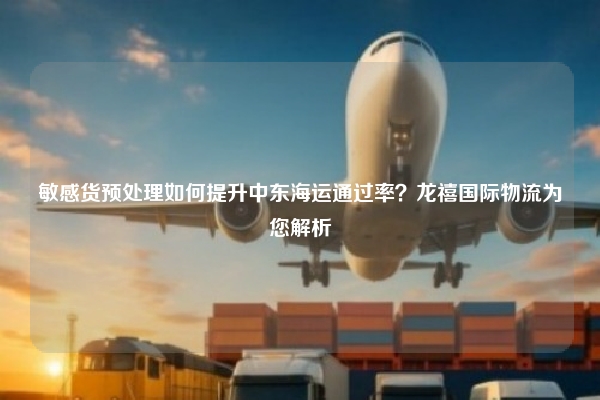 敏感货预处理如何提升中东海运通过率？龙禧国际物流为您解析