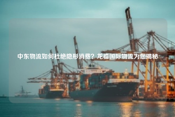 中东物流如何杜绝隐形消费？龙禧国际物流为您揭秘