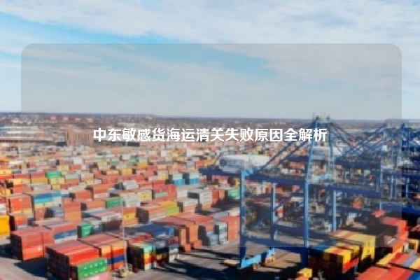 中东敏感货海运清关失败原因全解析