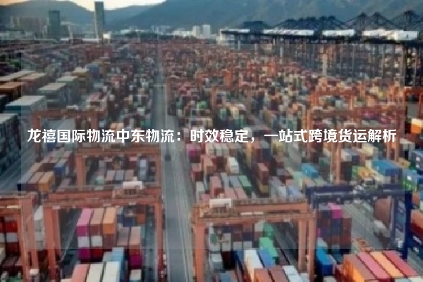 龙禧国际物流中东物流：时效稳定，一站式跨境货运解析