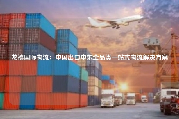 龙禧国际物流：中国出口中东全品类一站式物流解决方案
