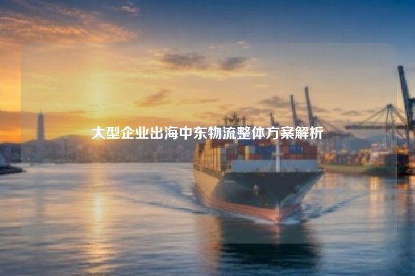 大型企业出海中东物流整体方案解析