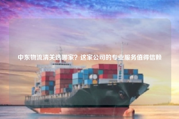 中东物流清关选哪家？这家公司的专业服务值得信赖