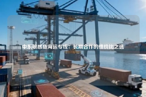 中东敏感货海运专线：长期合作的性价比之选